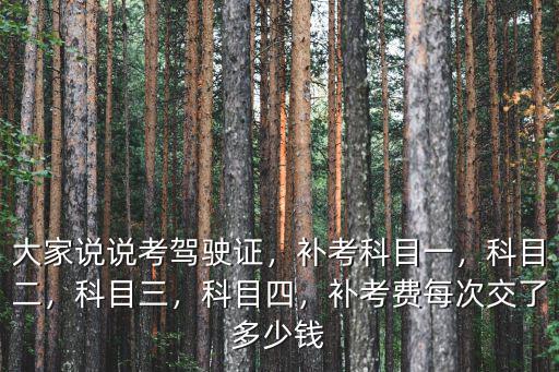江蘇駕駛證補考費多少錢2015,大家說說考駕駛證