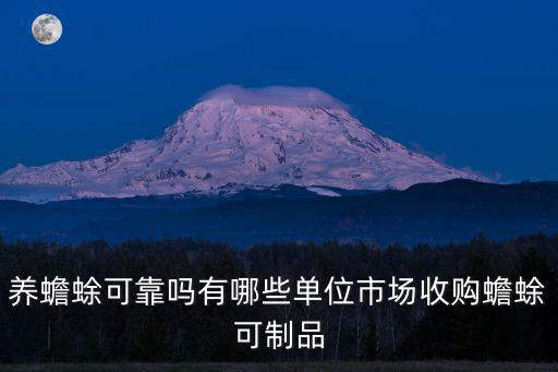 養蟾蜍可靠嗎有哪些單位市場收購蟾蜍可制品