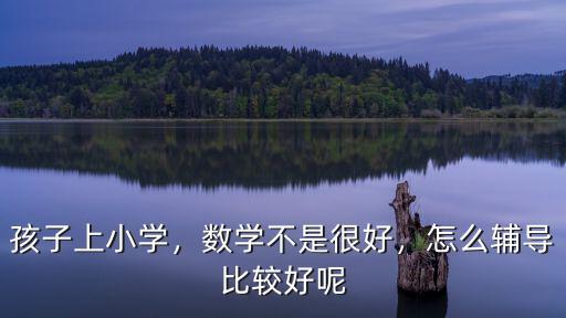 孩子上小學(xué)，數(shù)學(xué)不是很好，怎么輔導(dǎo)比較好呢