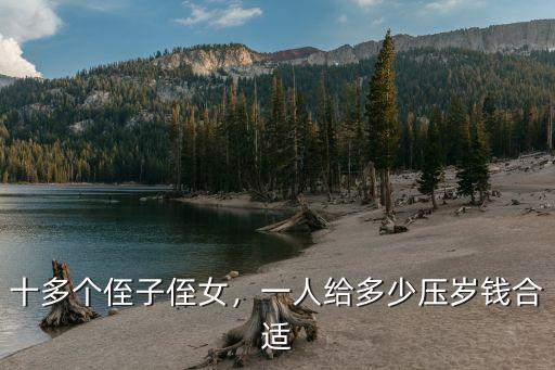 徐州一般給侄子侄女兒多少壓歲紅包,每年都給兩個侄子壓歲紅包