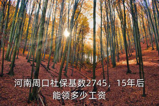 周口退休工資多少,一個月工資大概多少
