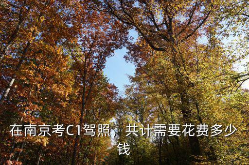 在南京考C1駕照，共計需要花費多少錢