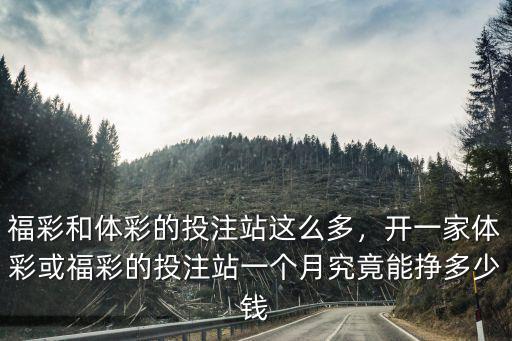 福彩和體彩的投注站這么多，開一家體彩或福彩的投注站一個(gè)月究竟能掙多少錢