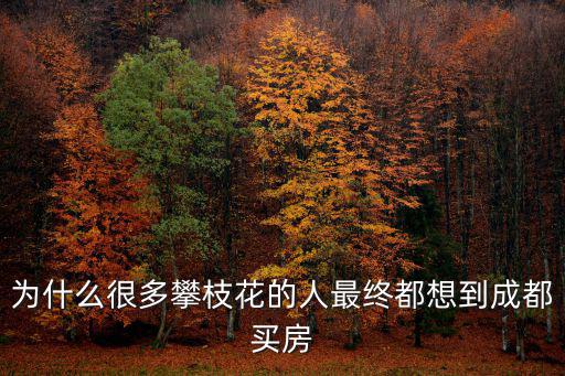 攀枝花讀書哪里買房好,2018年想在攀枝花買房