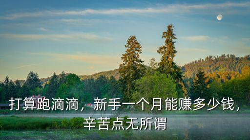 打算跑滴滴，新手一個(gè)月能賺多少錢，辛苦點(diǎn)無所謂