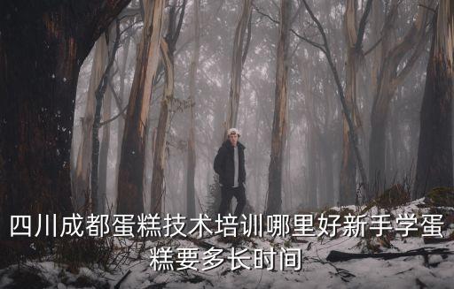 四川成都蛋糕技術(shù)培訓(xùn)哪里好新手學(xué)蛋糕要多長(zhǎng)時(shí)間
