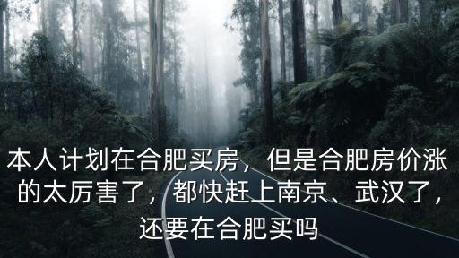 本人計劃在合肥買房，但是合肥房價漲的太厲害了，都快趕上南京、武漢了，還要在合肥買嗎