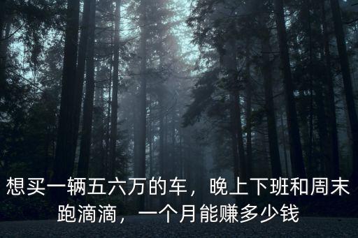 想買一輛五六萬的車，晚上下班和周末跑滴滴，一個月能賺多少錢