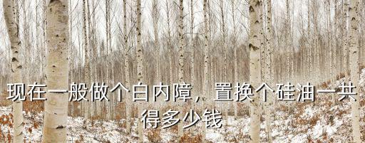 白內(nèi)障手術(shù)費(fèi)多少錢南通,置換個(gè)硅油一共得多少錢