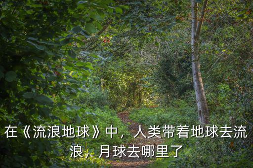 在《流浪地球》中，人類帶著地球去流浪，月球去哪里了