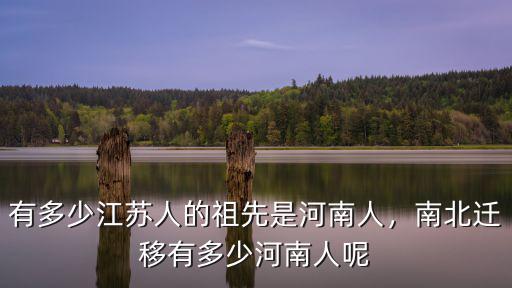 江蘇省有多少人叫趙磊,有多少江蘇人的祖先是河南人