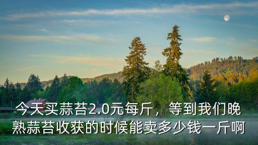 南通蒜臺多少錢一斤,你們那里的蒜苔多少錢一斤