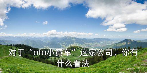 揚州有多少輛ofo小黃車,對于ofo小黃車這家公司