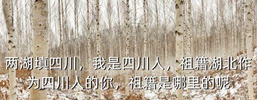 兩湖填四川，我是四川人，祖籍湖北作為四川人的你，祖籍是哪里的呢