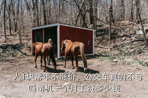 淮安市公交車司機多少錢一個月,司機一個月工資多少錢