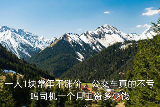 一人1塊常年不漲價，公交車真的不虧嗎司機一個月工資多少錢