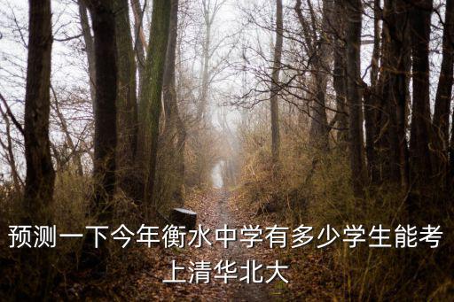 預測一下今年衡水中學有多少學生能考上清華北大