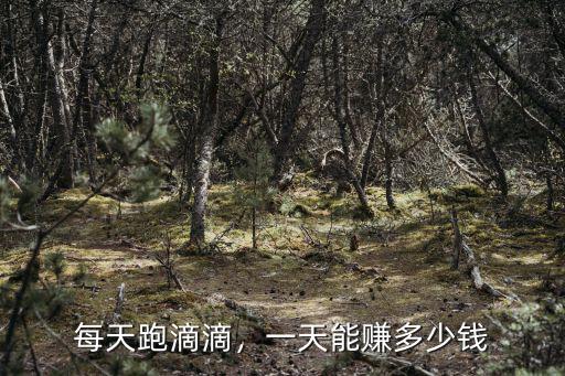 周口網(wǎng)約車能賺多少錢,一天能賺多少錢