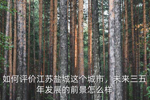 鹽城多少年后萬億城市,如何評價江蘇鹽城這個城市