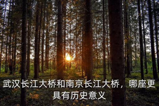 南京長江大橋歷史多少年,武漢長江大橋和南京長江大橋