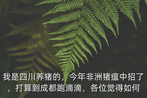 成都周邊哪里可以養(yǎng)豬,成都哪里可以買到小豬