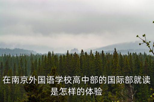 南京外國語學校高一招多少學生,如果所有學生都參加高考