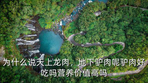 宜賓天上龍肉哪里好吃,農村老話天上龍肉