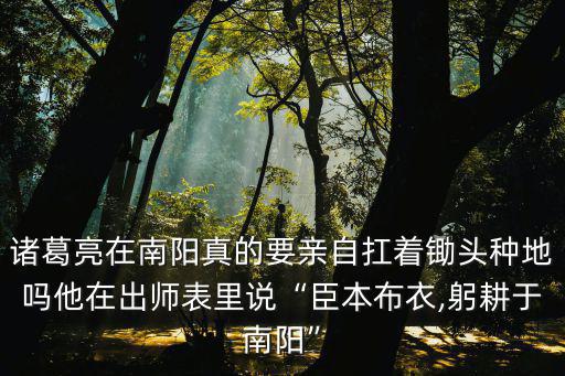 諸葛耕地在南陽哪里,諸葛亮的躬耕地究竟在哪里