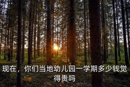 現(xiàn)在，你們當?shù)赜變簣@一學期多少錢覺得貴嗎
