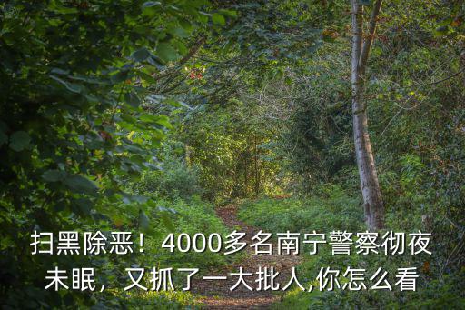 掃黑除惡！4000多名南寧警察徹夜未眠，又抓了一大批人,你怎么看