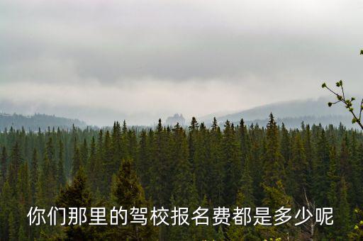 你們那里的駕校報名費都是多少呢