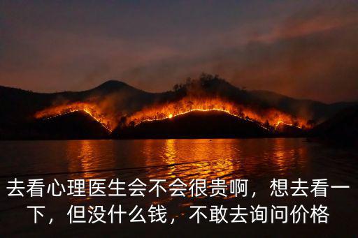 去看心理醫(yī)生會(huì)不會(huì)很貴啊，想去看一下，但沒什么錢，不敢去詢問價(jià)格