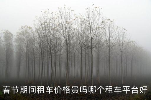 徐州春節租車價格多少錢,春節期間租車價格貴嗎