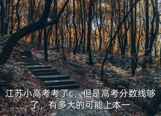蘇州小高考總分多少,江蘇小高考考了c