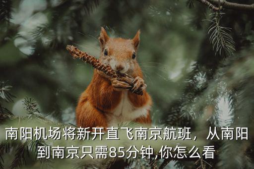 南京到南陽順風車多少錢,從南陽到南京只需85分鐘