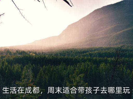 成都哪里適合帶孩子參觀,周末適合帶孩子去哪里玩