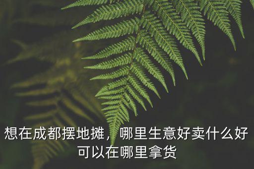 想在成都擺地?cái)偅睦锷夂觅u(mài)什么好可以在哪里拿貨