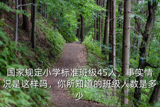鄭州小學一個班規定多少人,國家規定小學標準班級45人