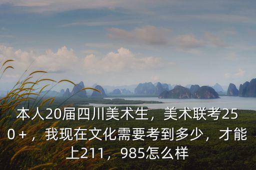 本人20屆四川美術生，美術聯考250＋，我現在文化需要考到多少，才能上211，985怎么樣