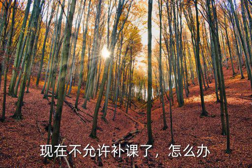 河南怎么不給補課,請問怎么舉報補課