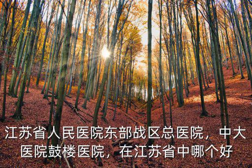 江蘇省人民醫院東部戰區總醫院，中大醫院鼓樓醫院，在江蘇省中哪個好