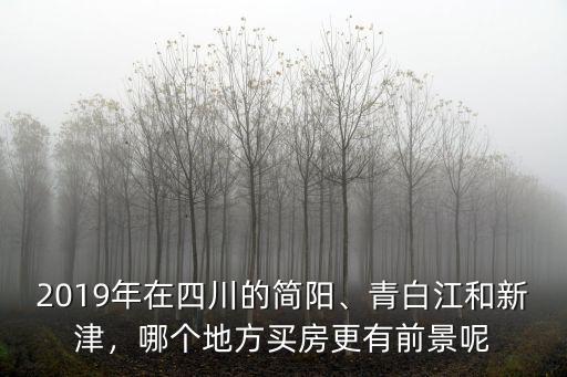 2019年在四川的簡陽、青白江和新津，哪個地方買房更有前景呢