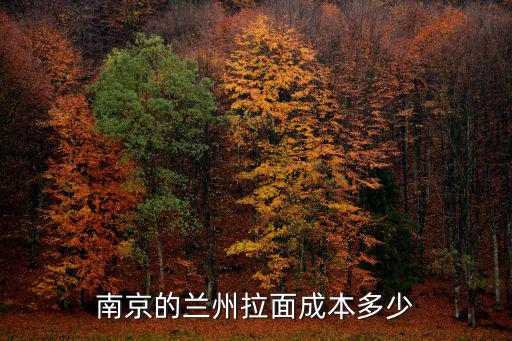 南京到蘭州開車費用是多少錢啊,南京的蘭州拉面成本多少