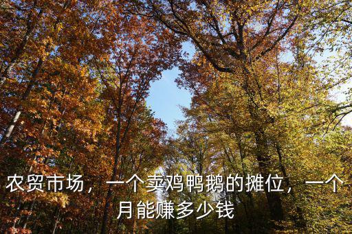 瀘州哪里有賣雞鴨鵝,市場(chǎng)里常有雞鴨賣
