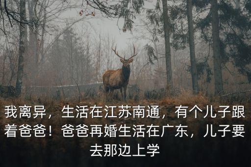 我離異，生活在江蘇南通，有個兒子跟著爸爸！爸爸再婚生活在廣東，兒子要去那邊上學