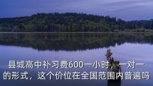 縣城高中補(bǔ)習(xí)費(fèi)600一小時(shí)，一對(duì)一的形式，這個(gè)價(jià)位在全國范圍內(nèi)普遍嗎
