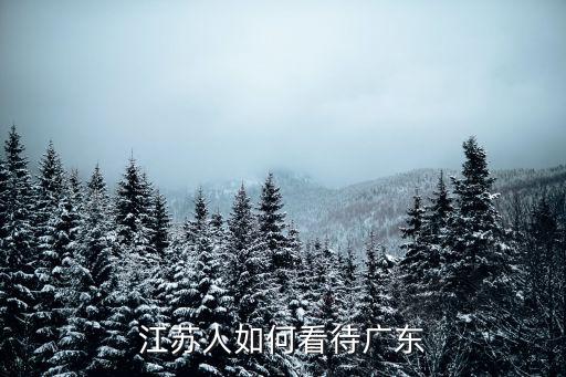 江蘇飛力達公司有多少人,江蘇有多少溫州投資商