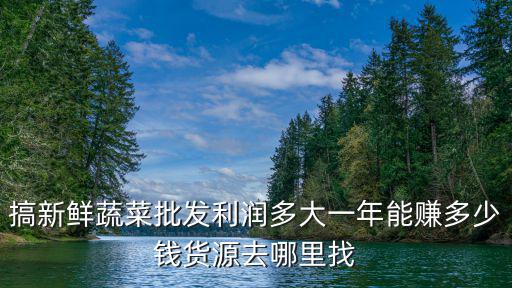 搞新鮮蔬菜批發利潤多大一年能賺多少錢貨源去哪里找