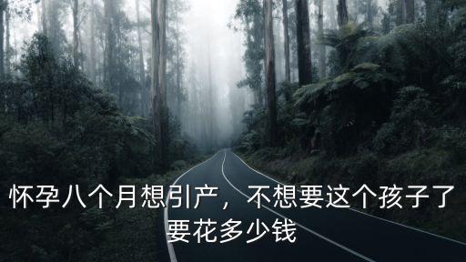 懷孕八個月想引產，不想要這個孩子了要花多少錢