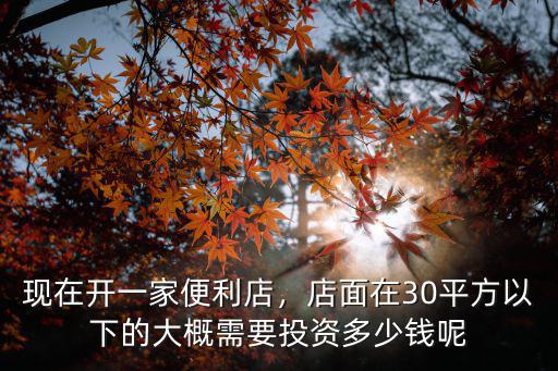 現(xiàn)在開一家便利店，店面在30平方以下的大概需要投資多少錢呢